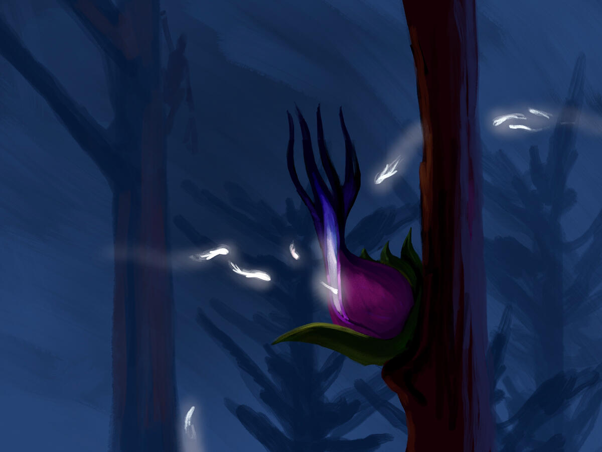 Hunter