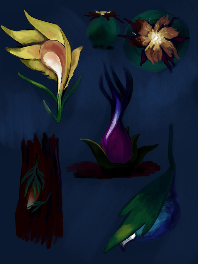 Lighthouses
